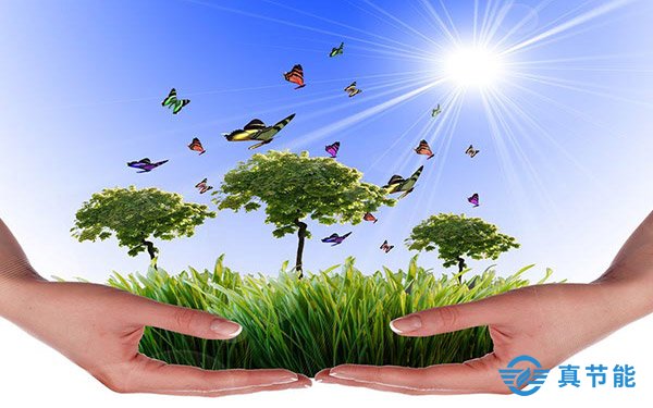 煤泥干化設(shè)備內(nèi)部結(jié)構(gòu)多重要 煤泥干化設(shè)備內(nèi)部結(jié)構(gòu)多重要